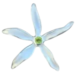 Glory Lily Silver Pendant with Peridot (August Birthstone)