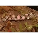 Bracelet – Rhodochrosite, Rose Quartz, Garnet, Tourmaline & Imperial Topaz