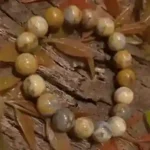 Bumblebee Jasper Bracelet – 12mm Stones