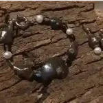 Ocean Relic Handmade Pearl & Ammonite Set