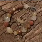 Golden Solar Harmony Gemstone Set