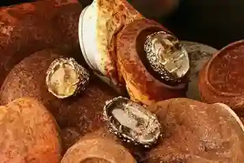 Mystic Earth Lodolite Quartz & Garnet Silver Luxe Collection